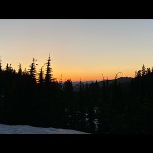 Meet your Posher, Isabel